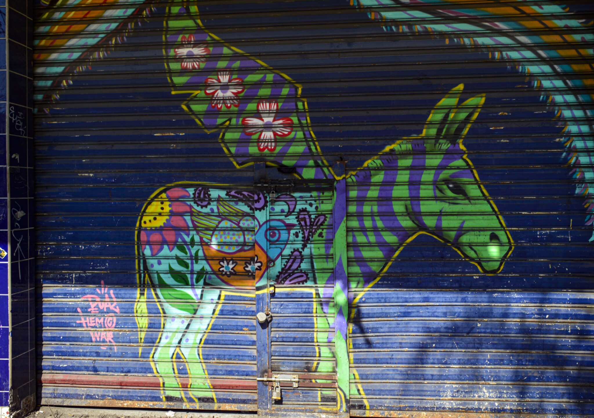 Tijuana-05