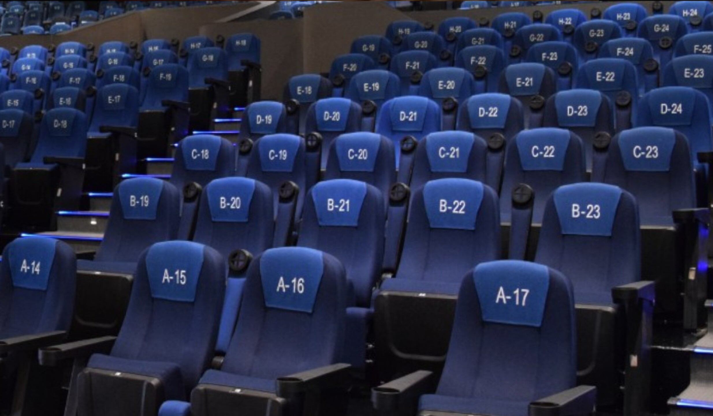 cineteca lady 2.jpg