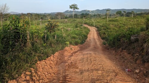 Narcocarretera creadora de caos en una selva hondureña