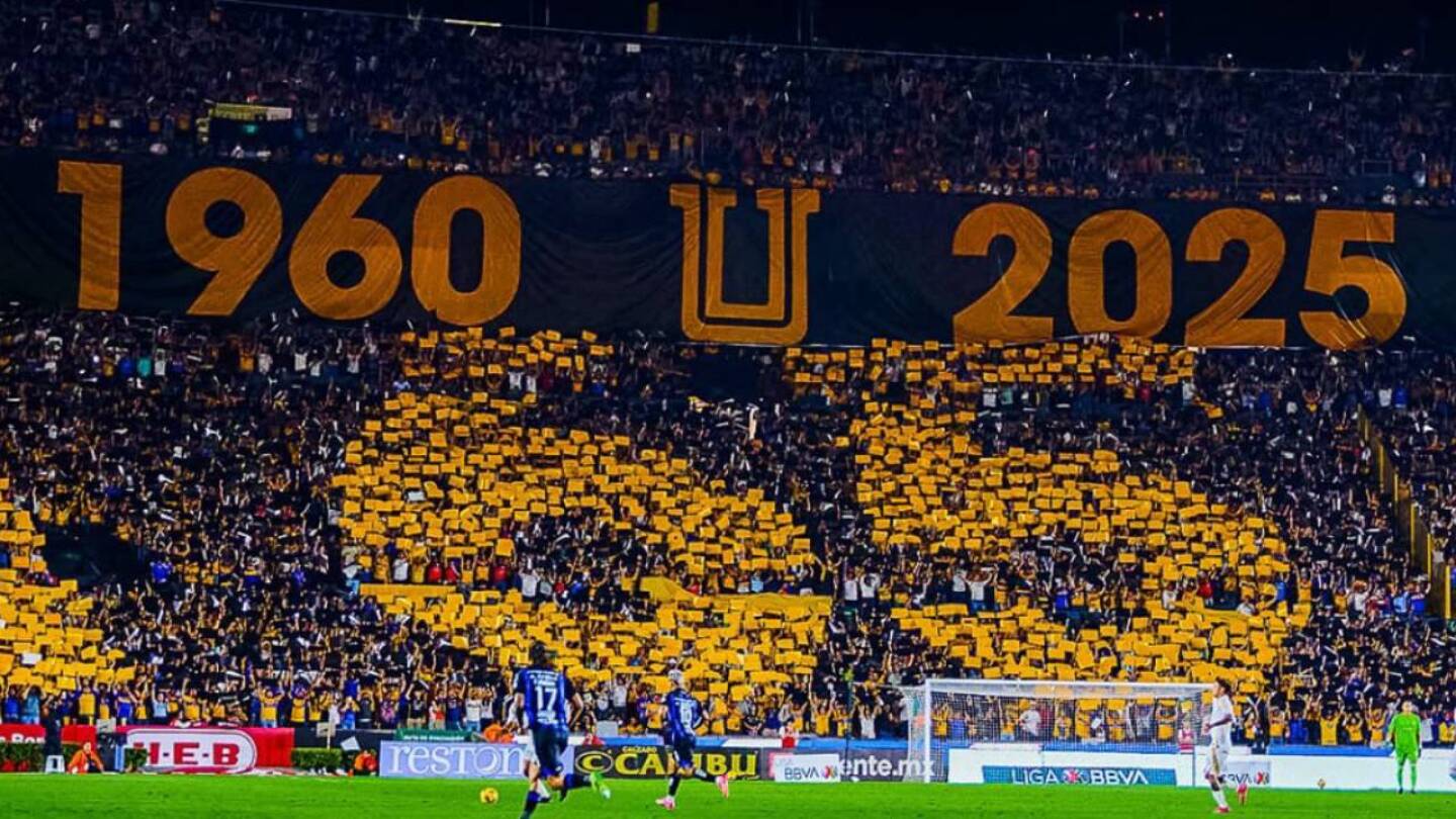 tigres 65 anos de una pasion.jpg
