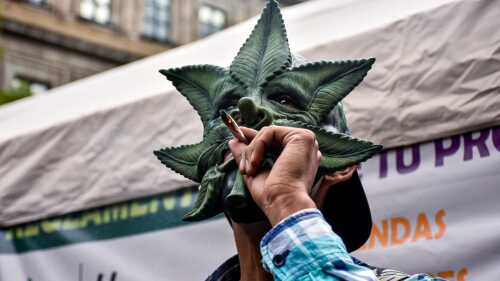 marihuana_cannabis_cigarro_fumaton_