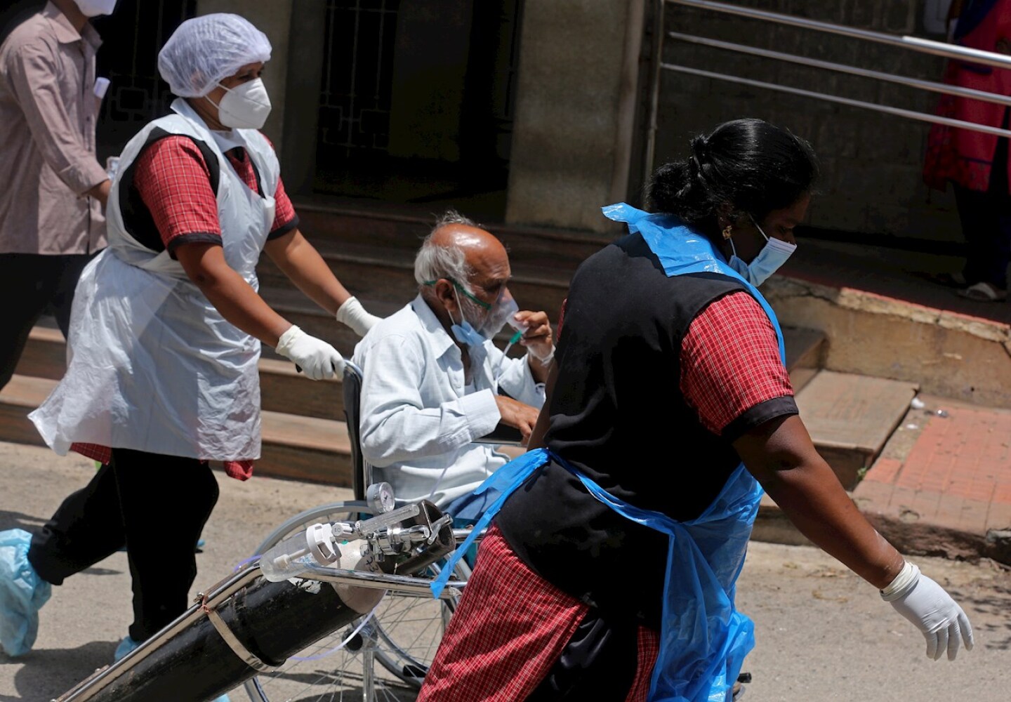 hongo-negro-de-la-india