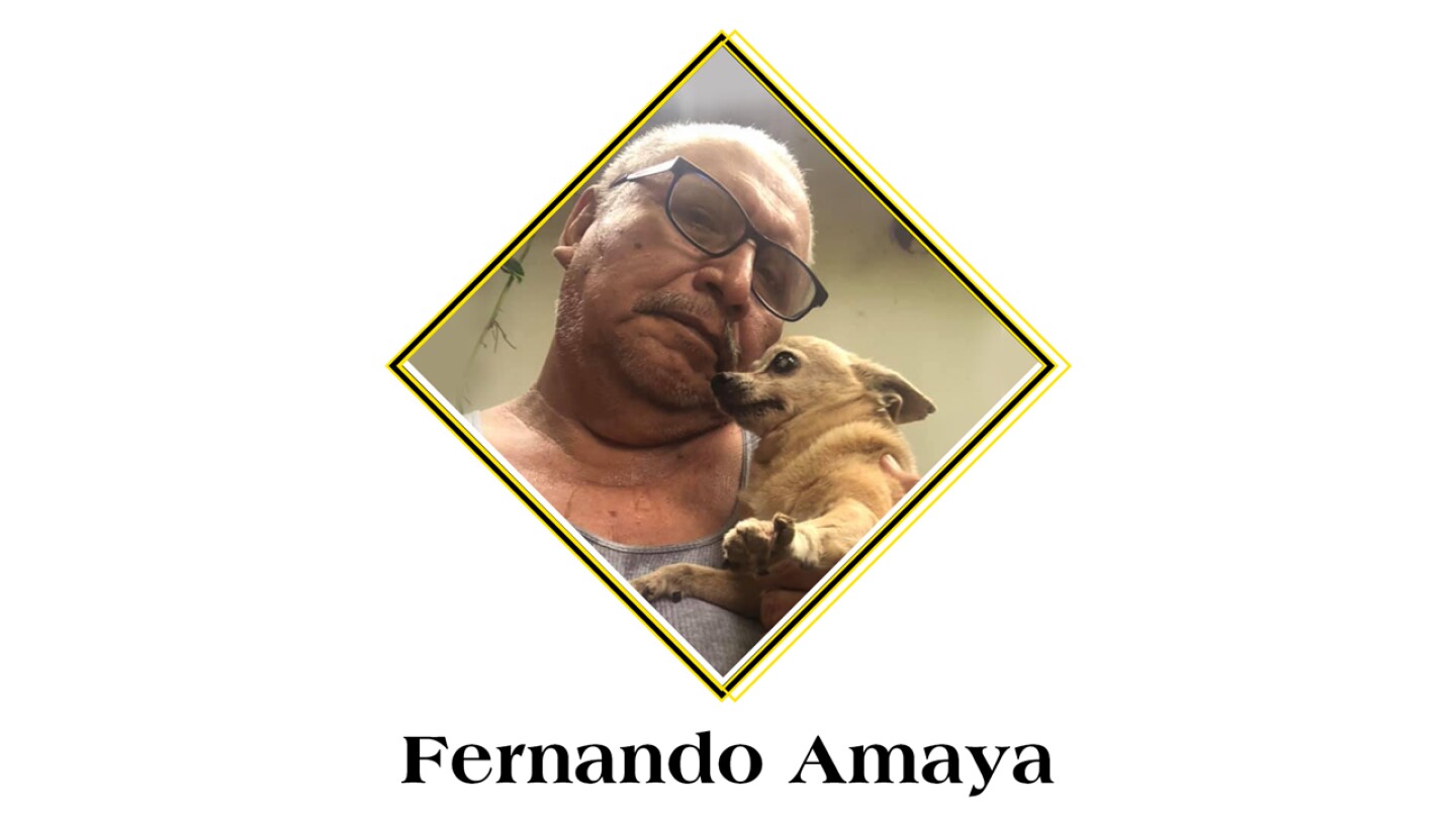 Fer-amaya