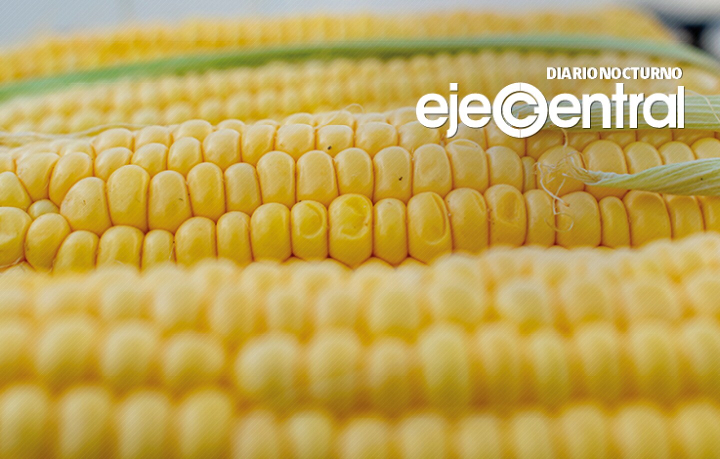 4-Promo-859-EU-va-por-panel-en-T-MEC-para-defender-su-maíz-ante-AMLO