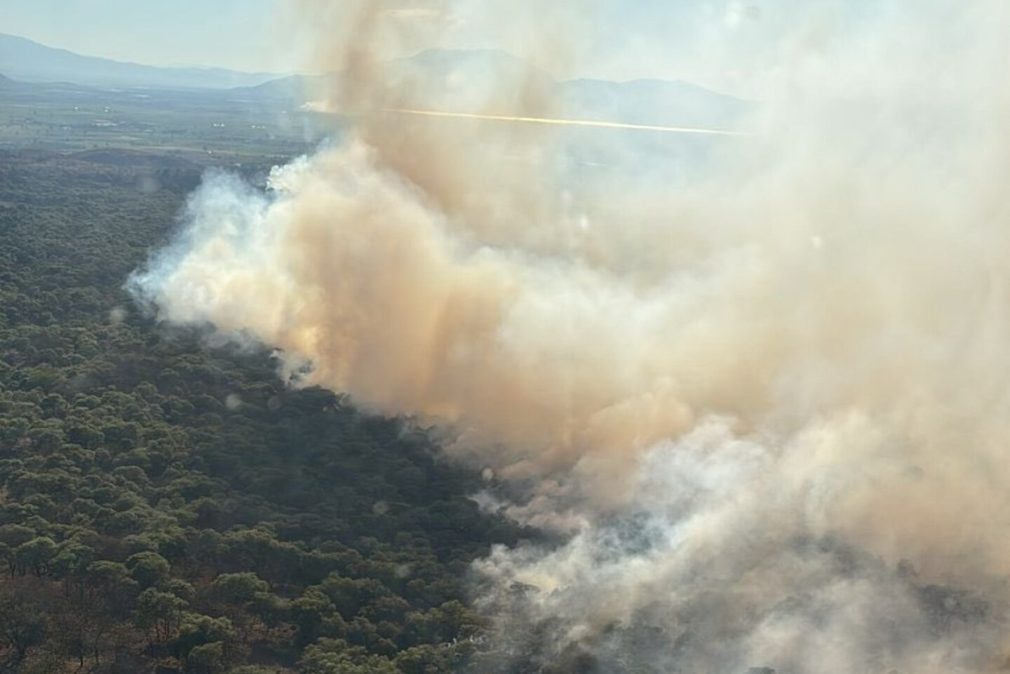 incendio Bosque La Primavera