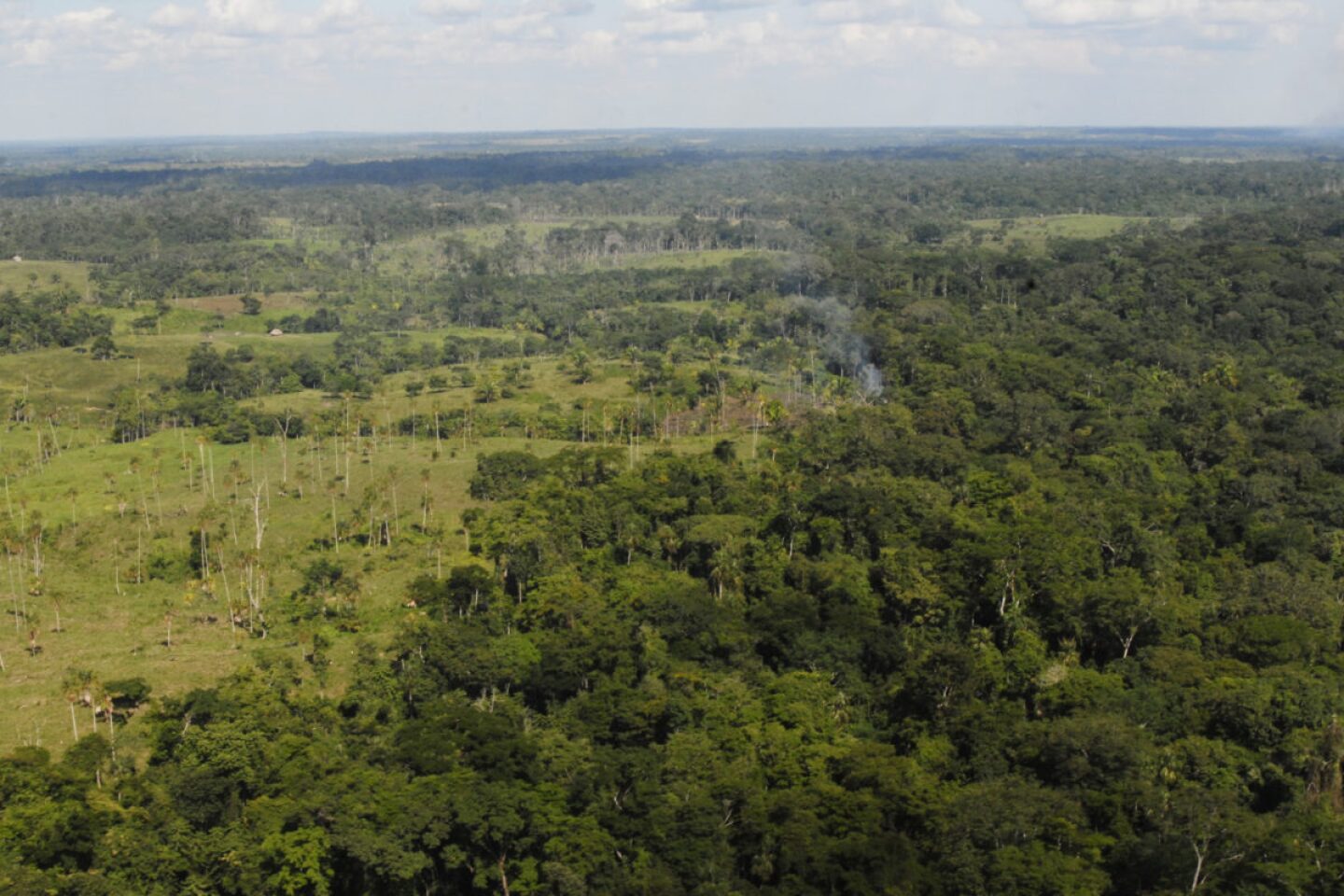 selva-lacandona