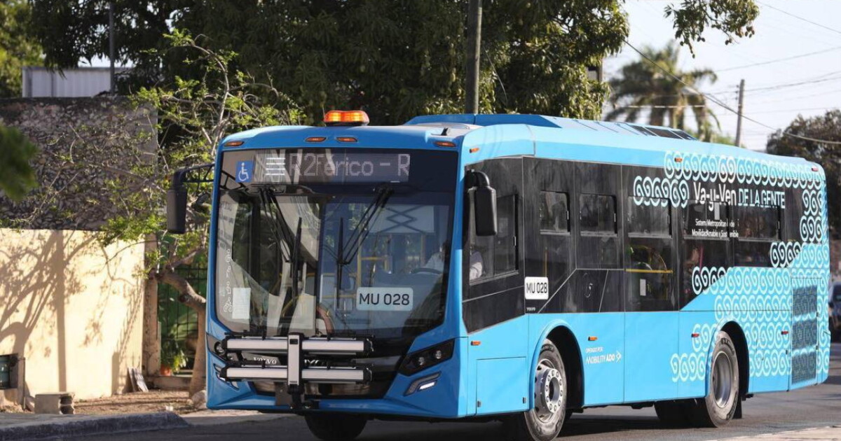 Va y Ven Mérida nuevas rutas 2024: a dónde van y transbordos