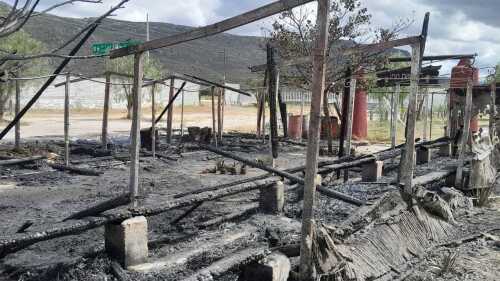 incendio zoológico (1)