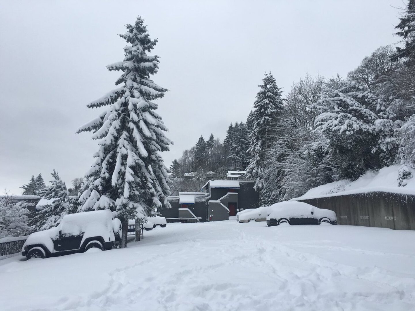 EU tormenta de hielo