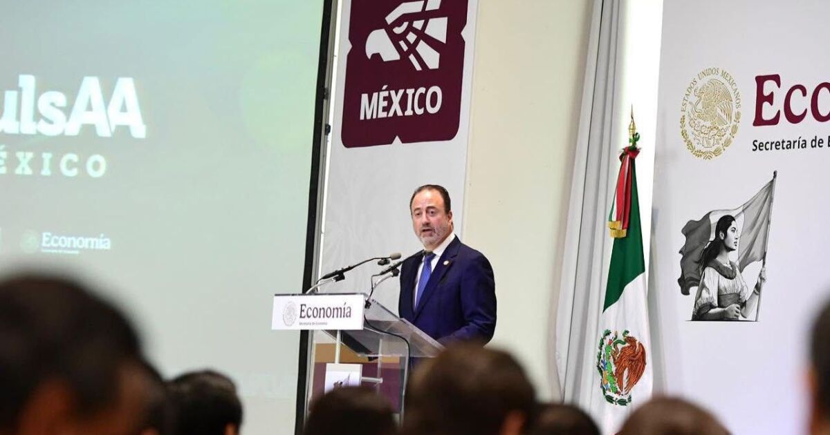 Agentes aduanales rechazan amparos y respaldan declaración patrimonial 2026 — image 1