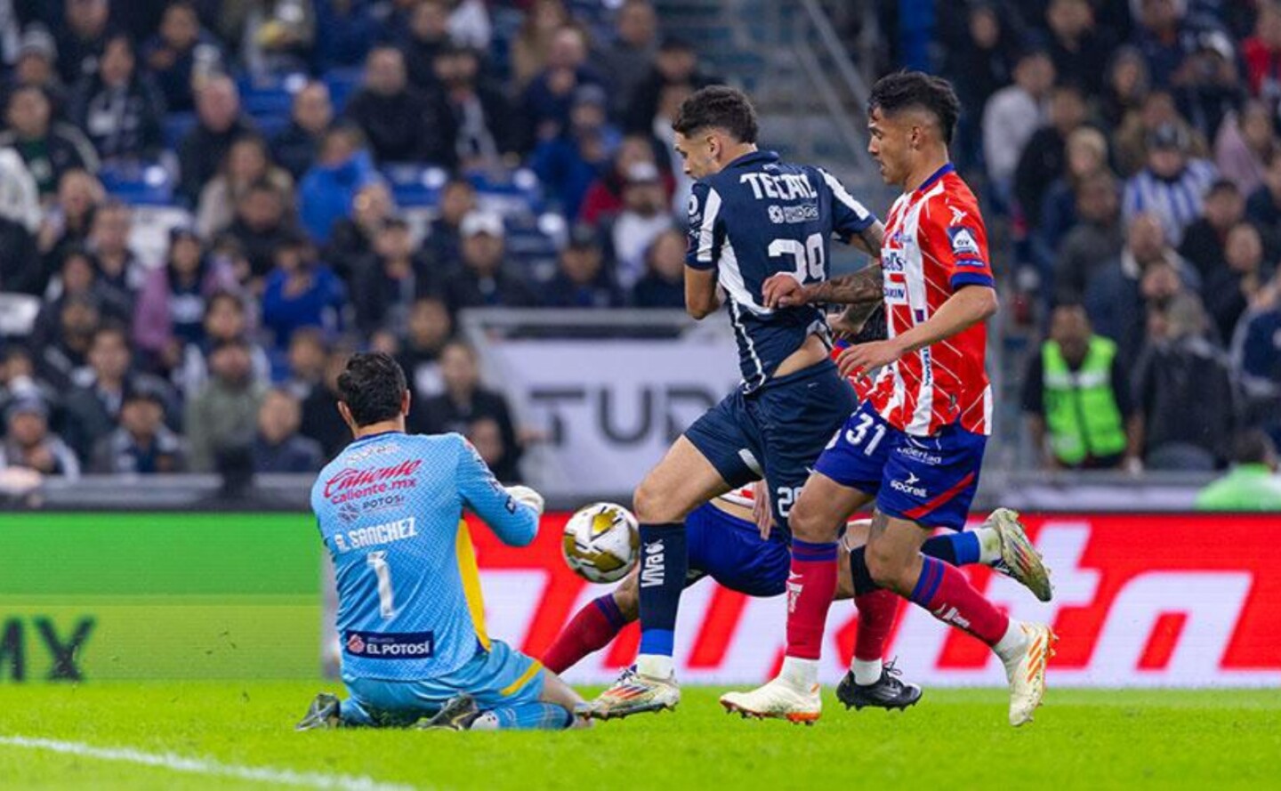 resultados-apertura-2024-monterrey-vs-atletico-de-san-luis
