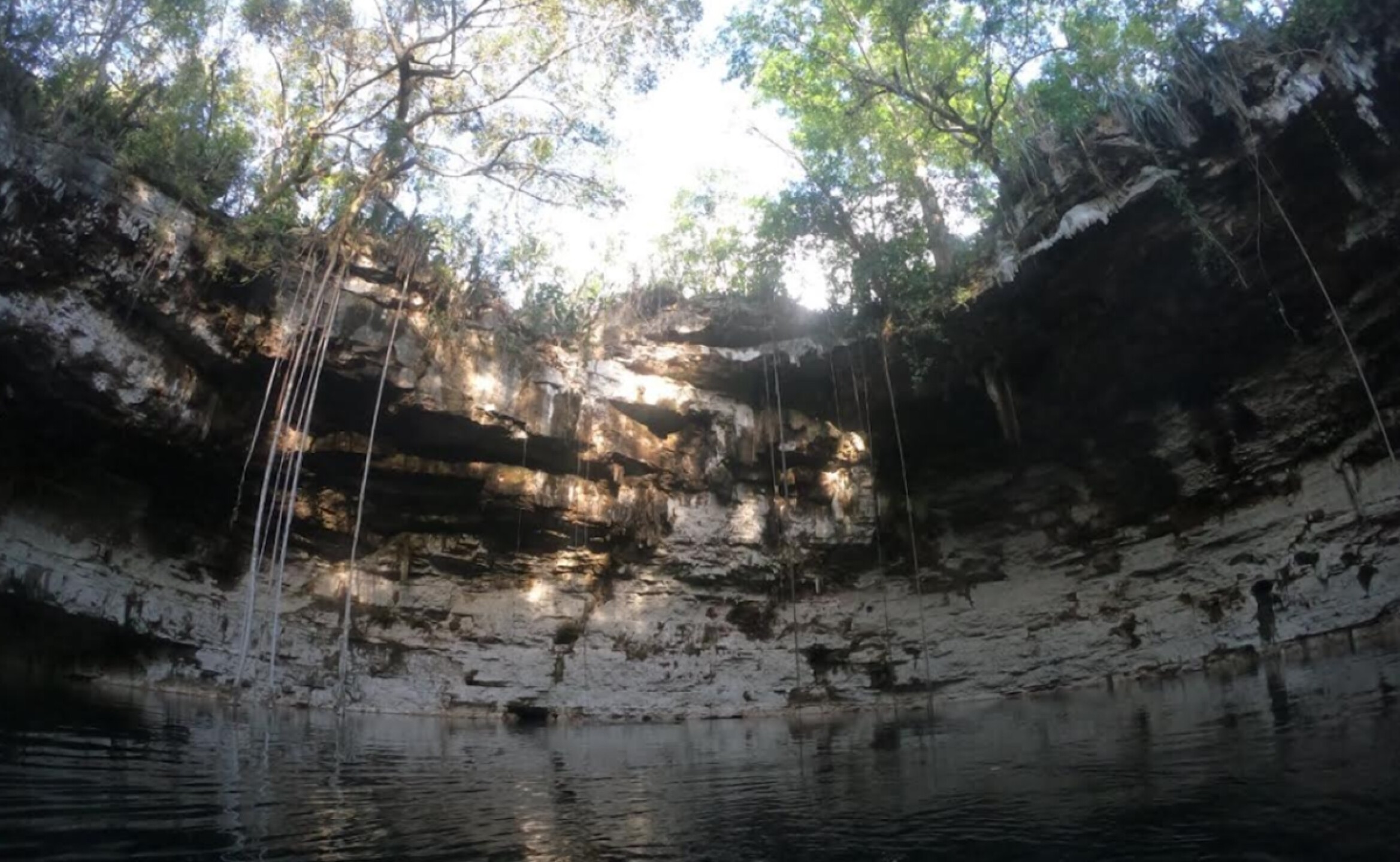 cenote_san_andres_tren_maya