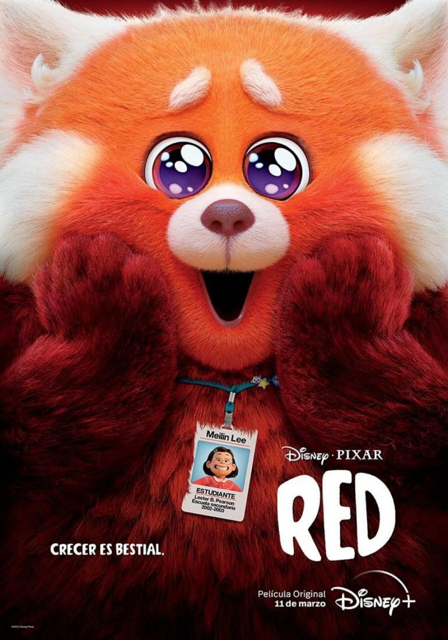 Red ojos brillosos