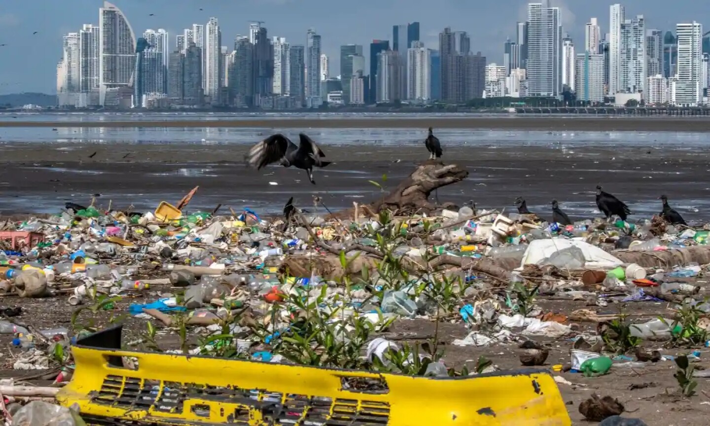 contaminación_por_plásticos_en_el_océano