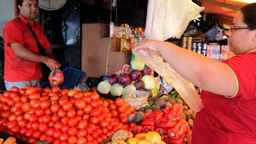 jitomate, agricultura mercado alimentos