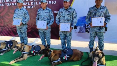 binomios caninos