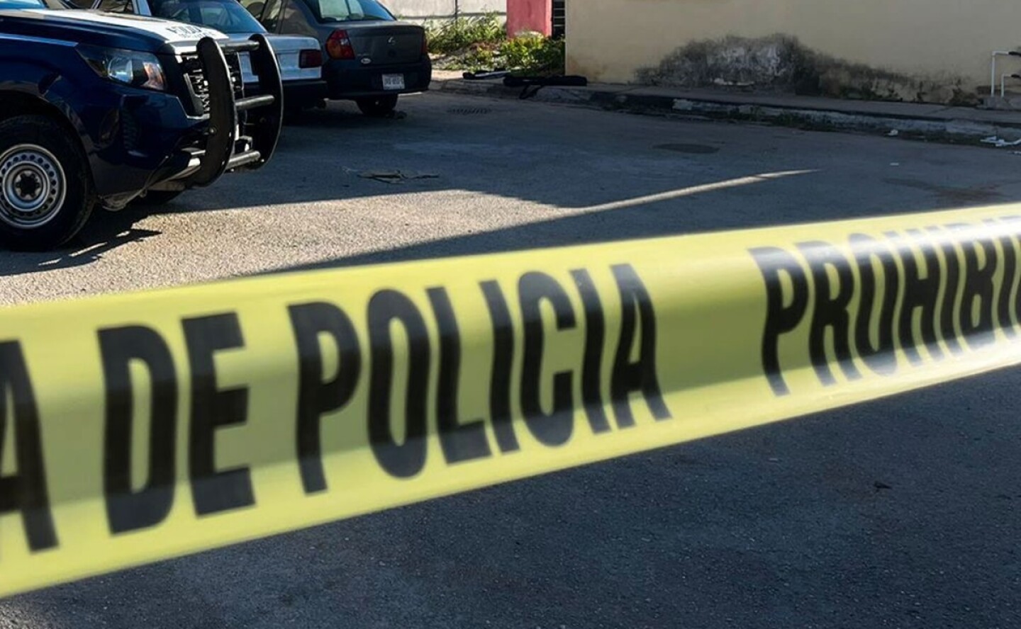 Reportaron nuevos hallazgos de restos humanos en Zapopan