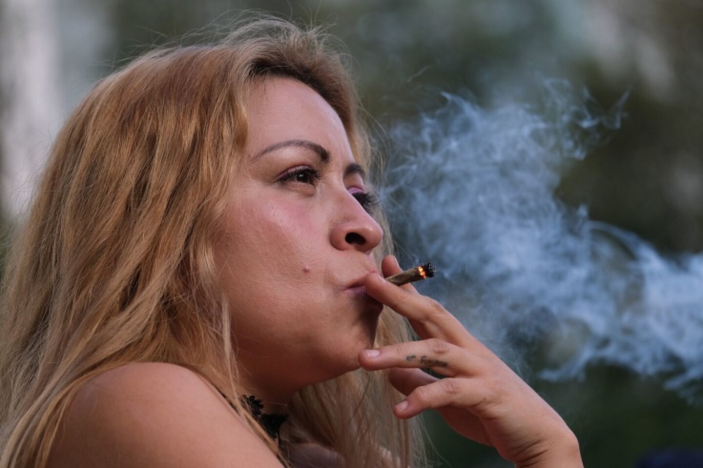 Activistas del Movimiento Cannabico Mexicano se manifestaron para sembrar ocho plantas de marihuana y protestar para la legalización de la planta, el cultivo personal sin fines de lucro y el uso en espacios públicos.