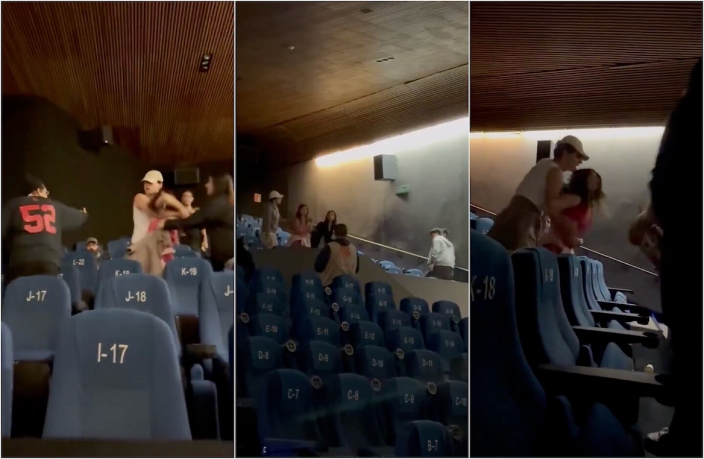 lady cineteca.jpg