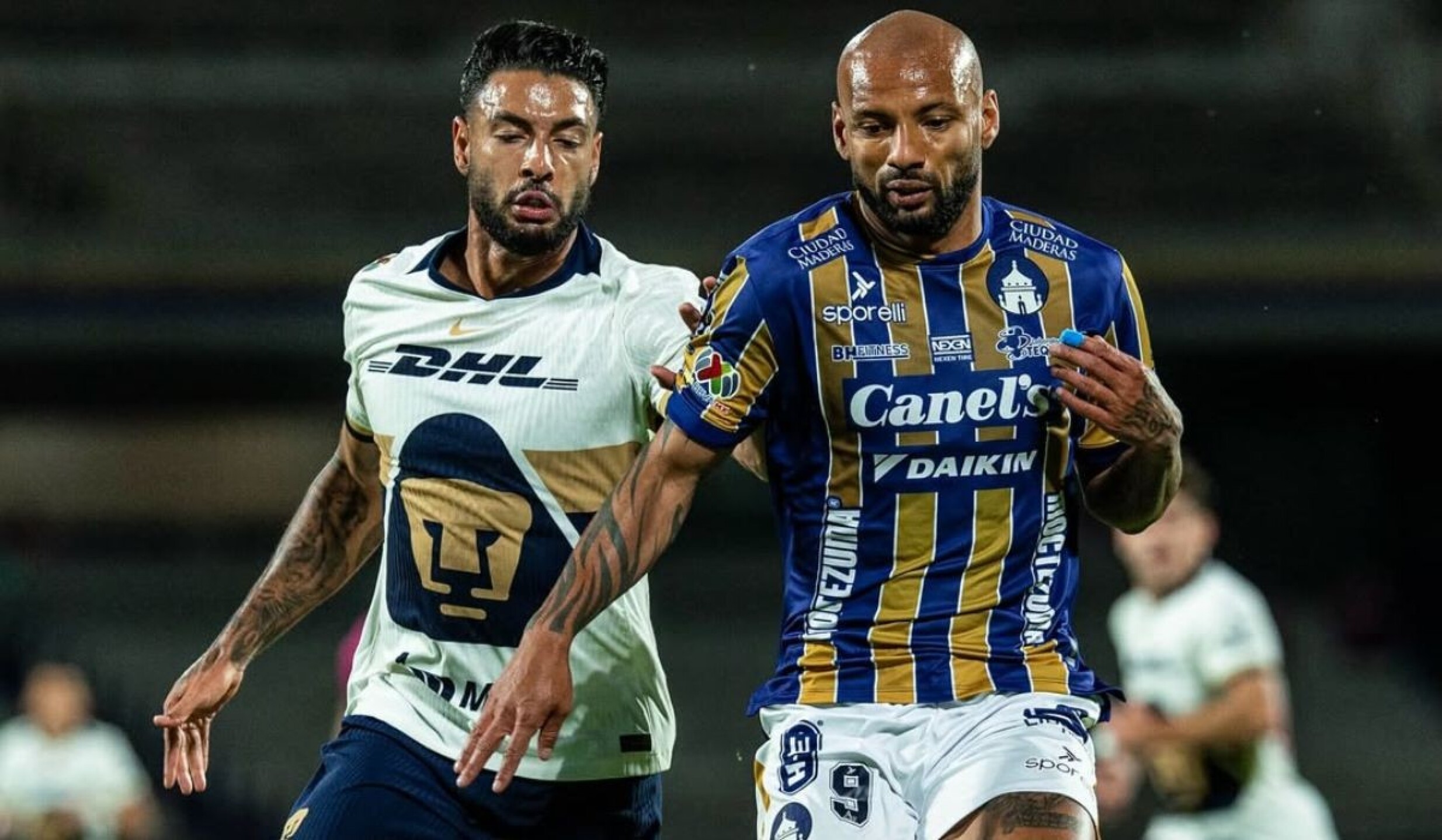 pumas-san-luis-1.jpg