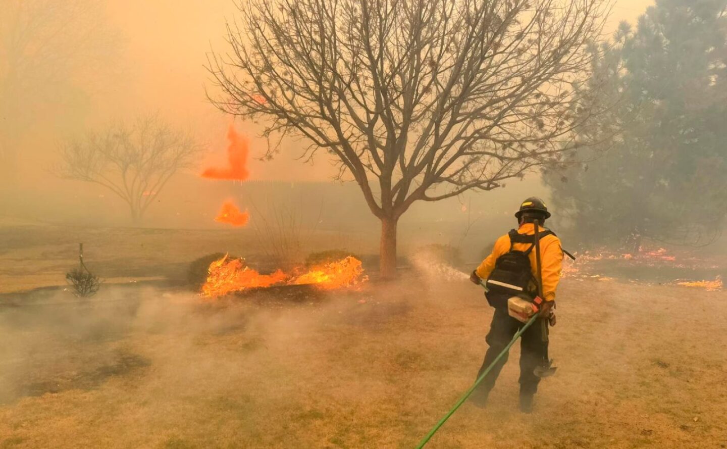 incendios forestales Texas