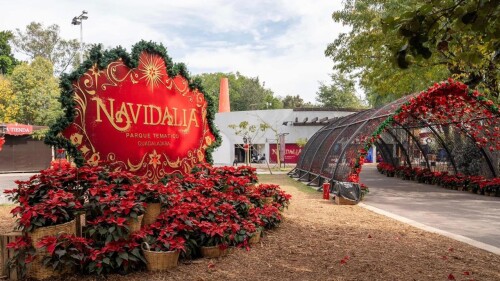 navidalia-guadalajara-2024-fechas-horarios-boletos