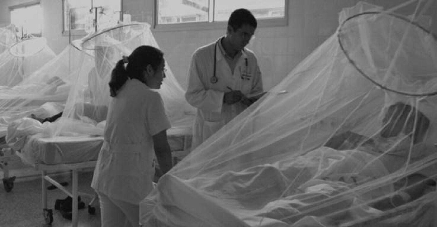 Dengue fever patients are treated at the