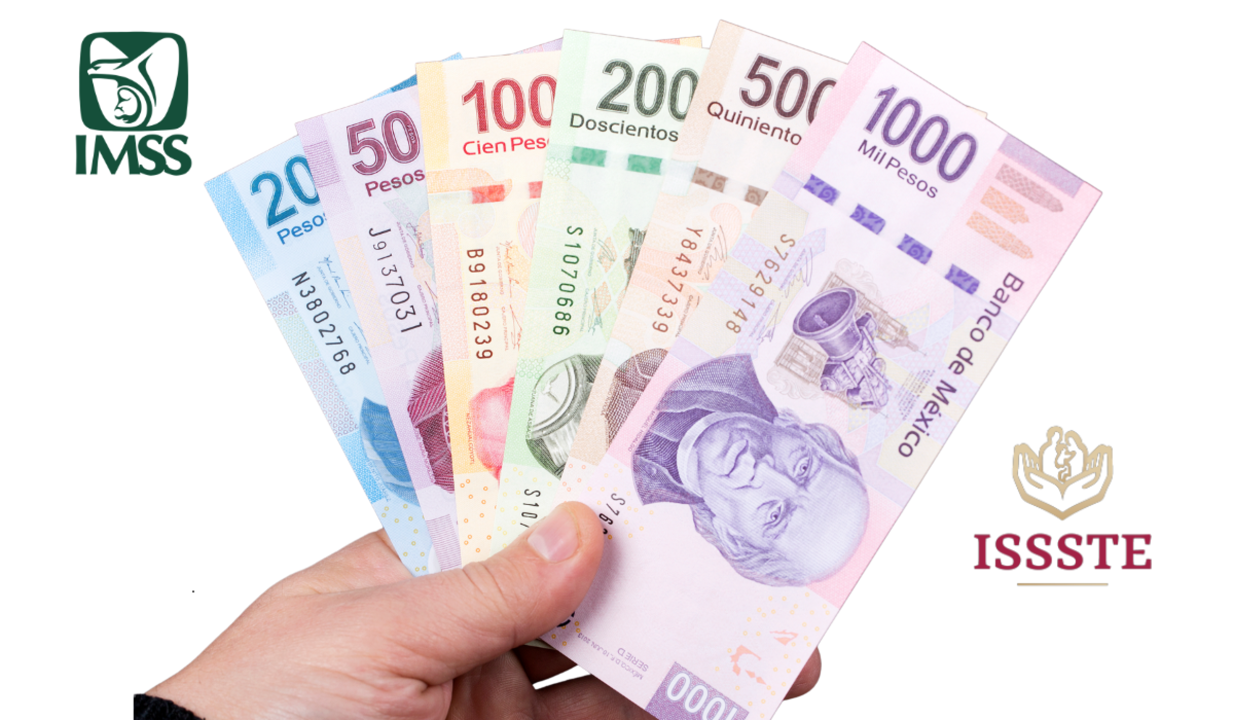 Pago de Pensión IMSS e ISSSTE