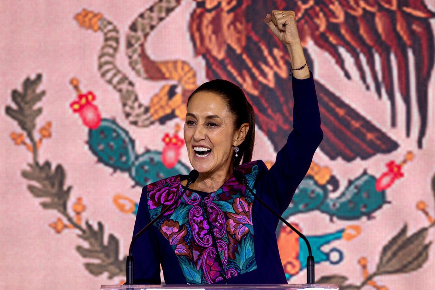 Claudia-Shienbaum.jpg