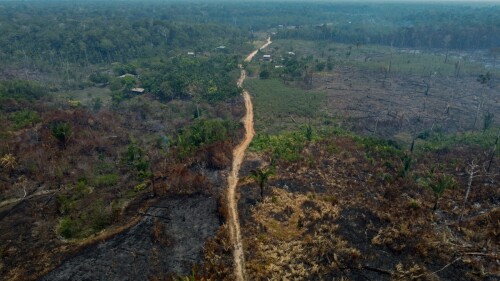 Amazonia brasileña