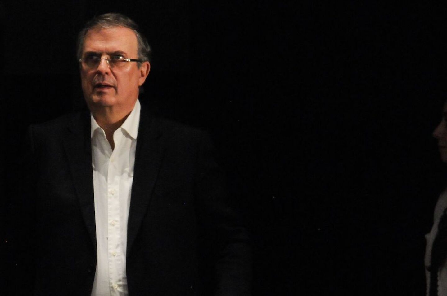 Nuevo Movimiento Ebrard  (2)