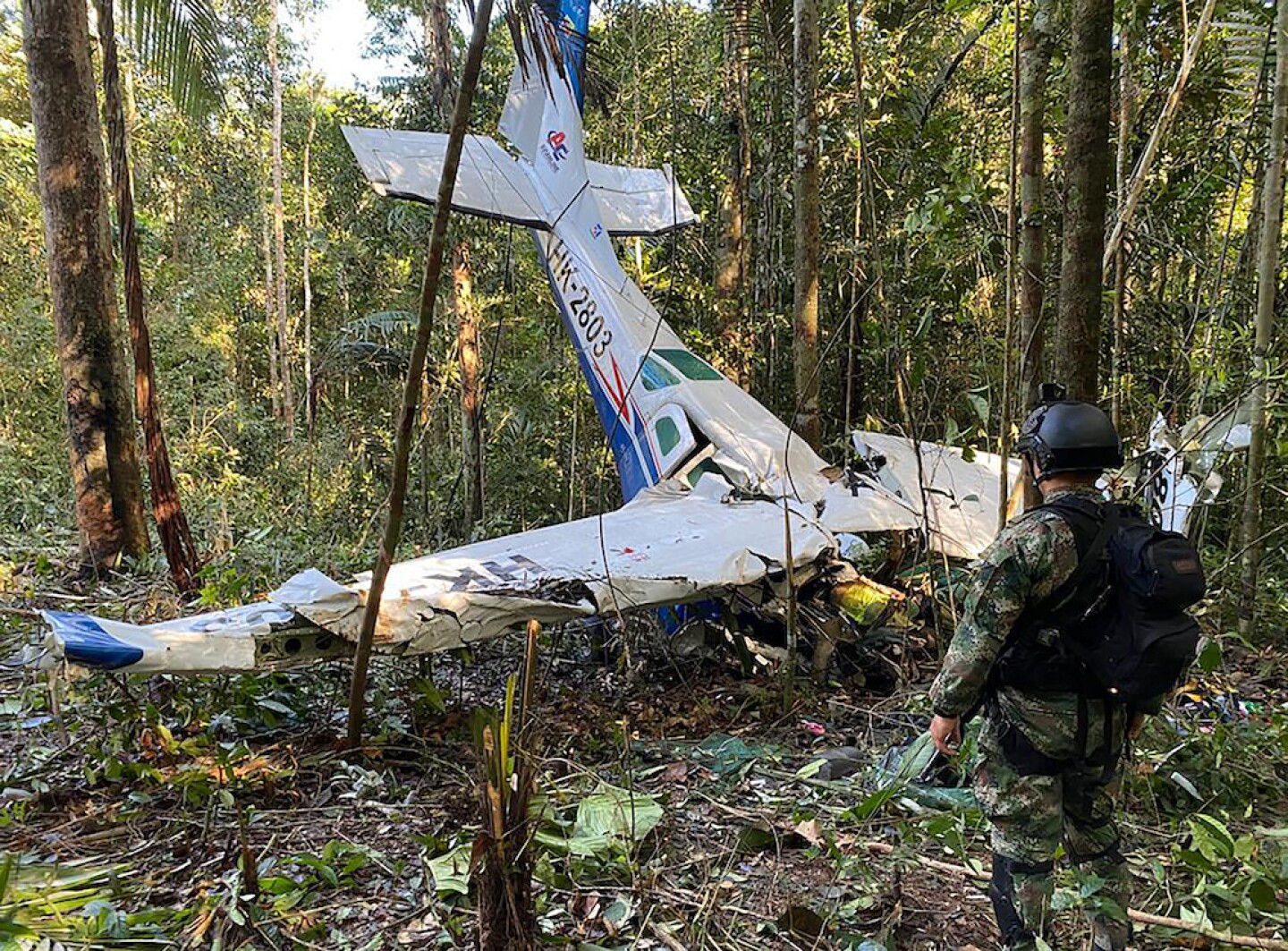 perdidos en la selva
