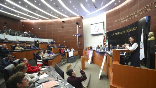 senado ley de amparo.jpg