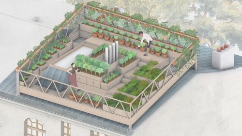 De gris a verde plan para convertir los tejados de zinc de París en jardines