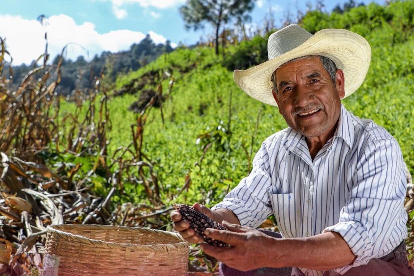 pago-pension-bienestar-septiembre-2023