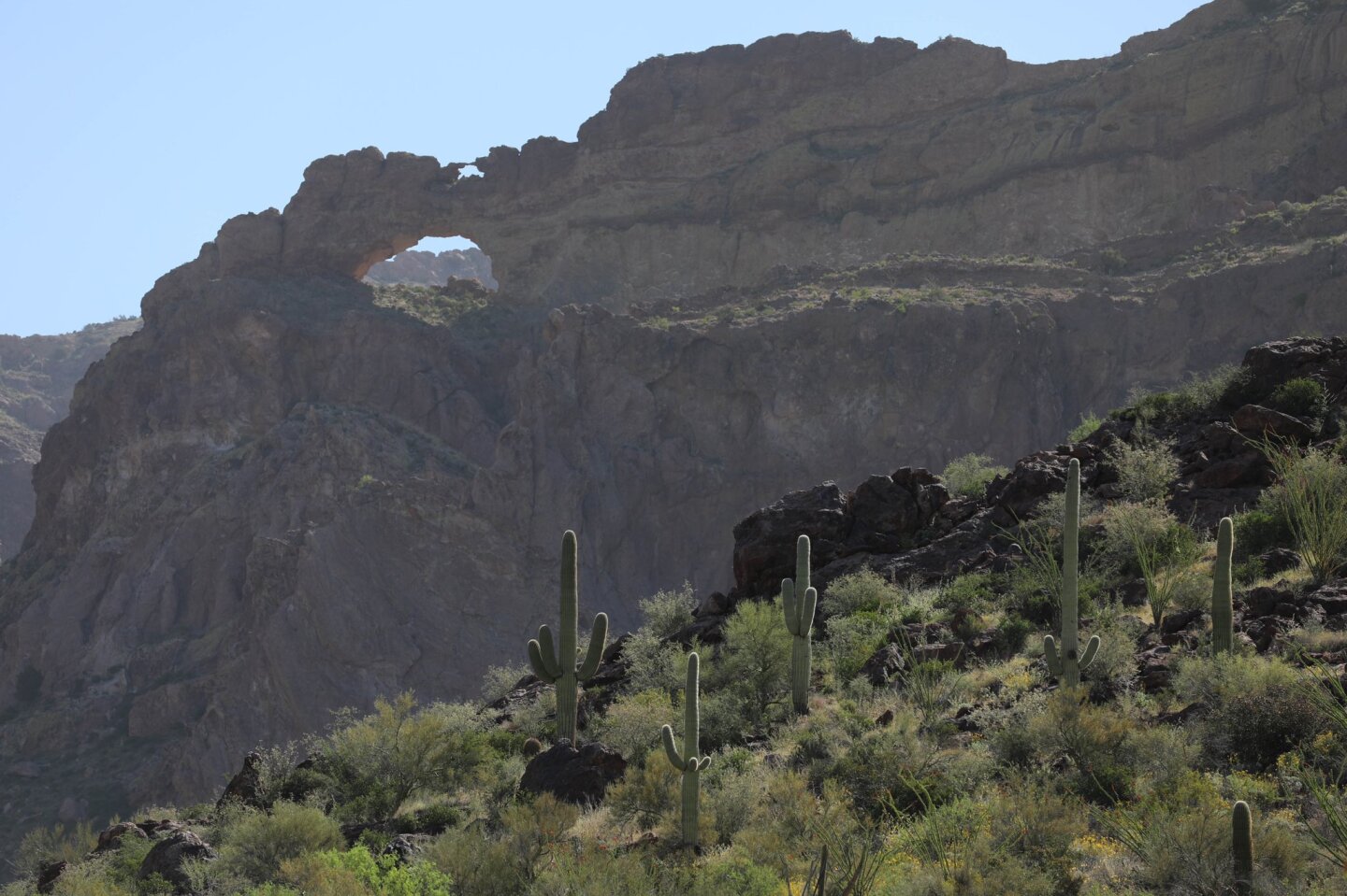 @USBPChiefTCA Desierto Arizona
