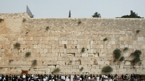 Muro de las Lamentaciones nueva