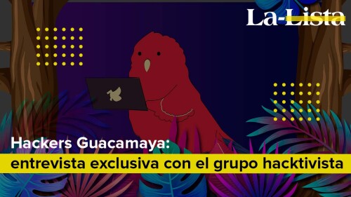 Thumb Entrevista Guacamaya