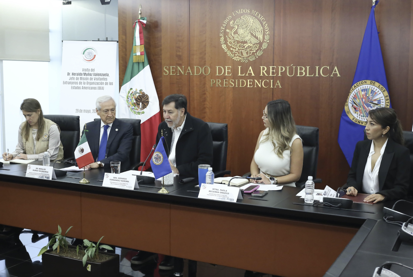 OE elección judicial .png