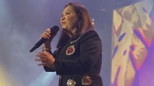 ana-gabriel-en-leon-2024-precios-de-los-boletos-en-funticket