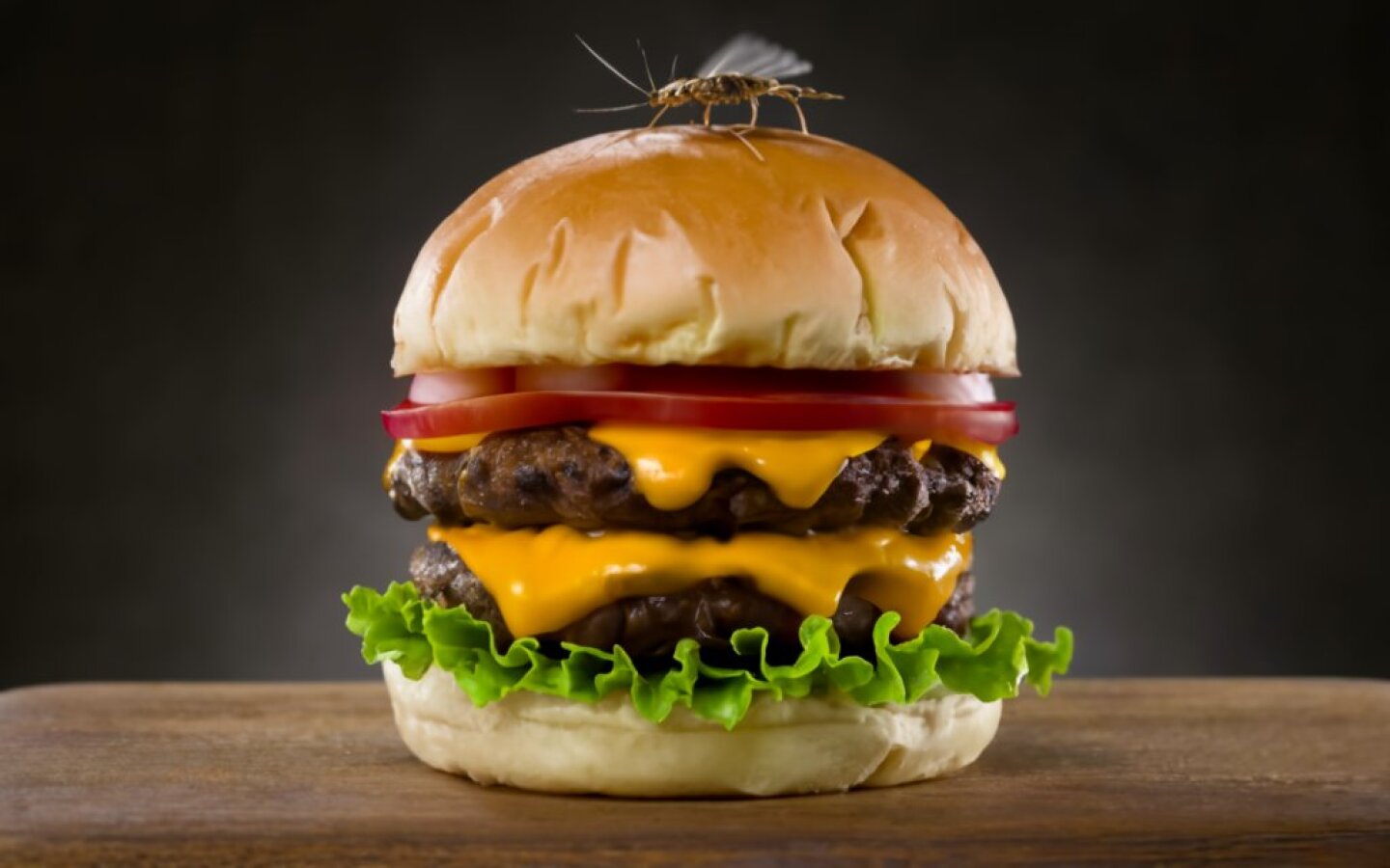 hamburguesa