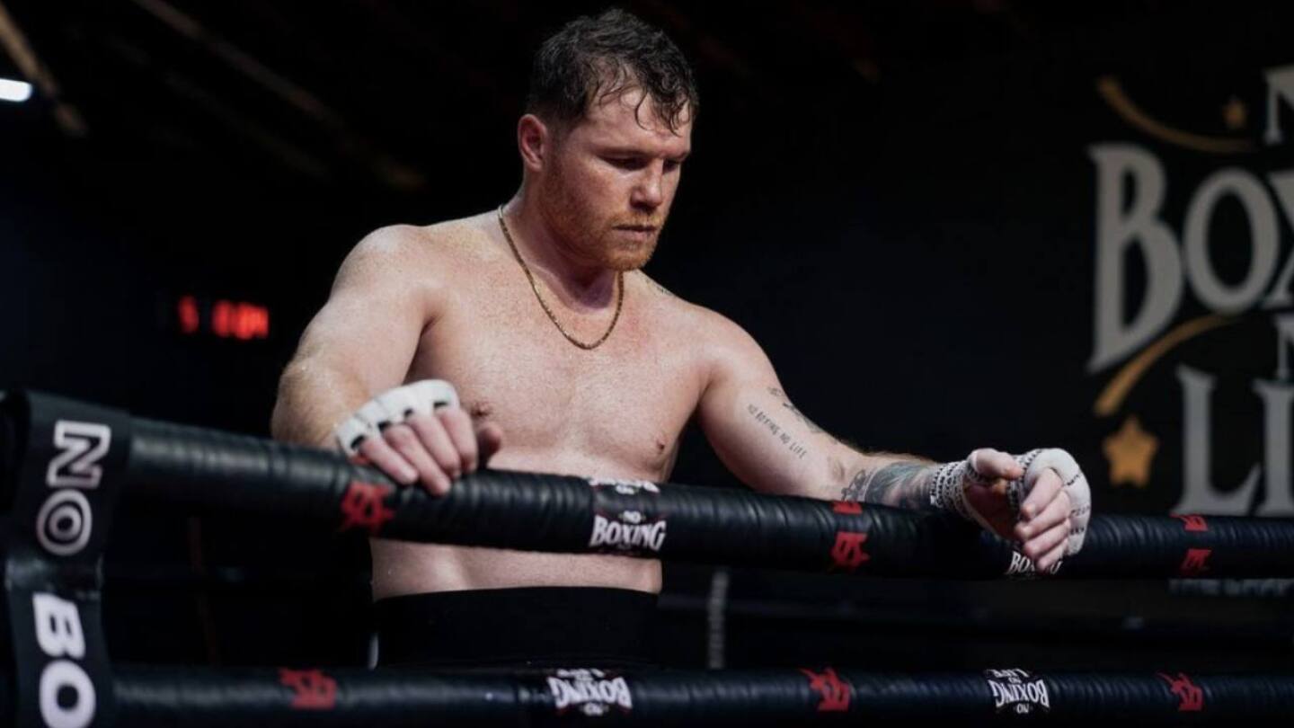 canelo-inversiones