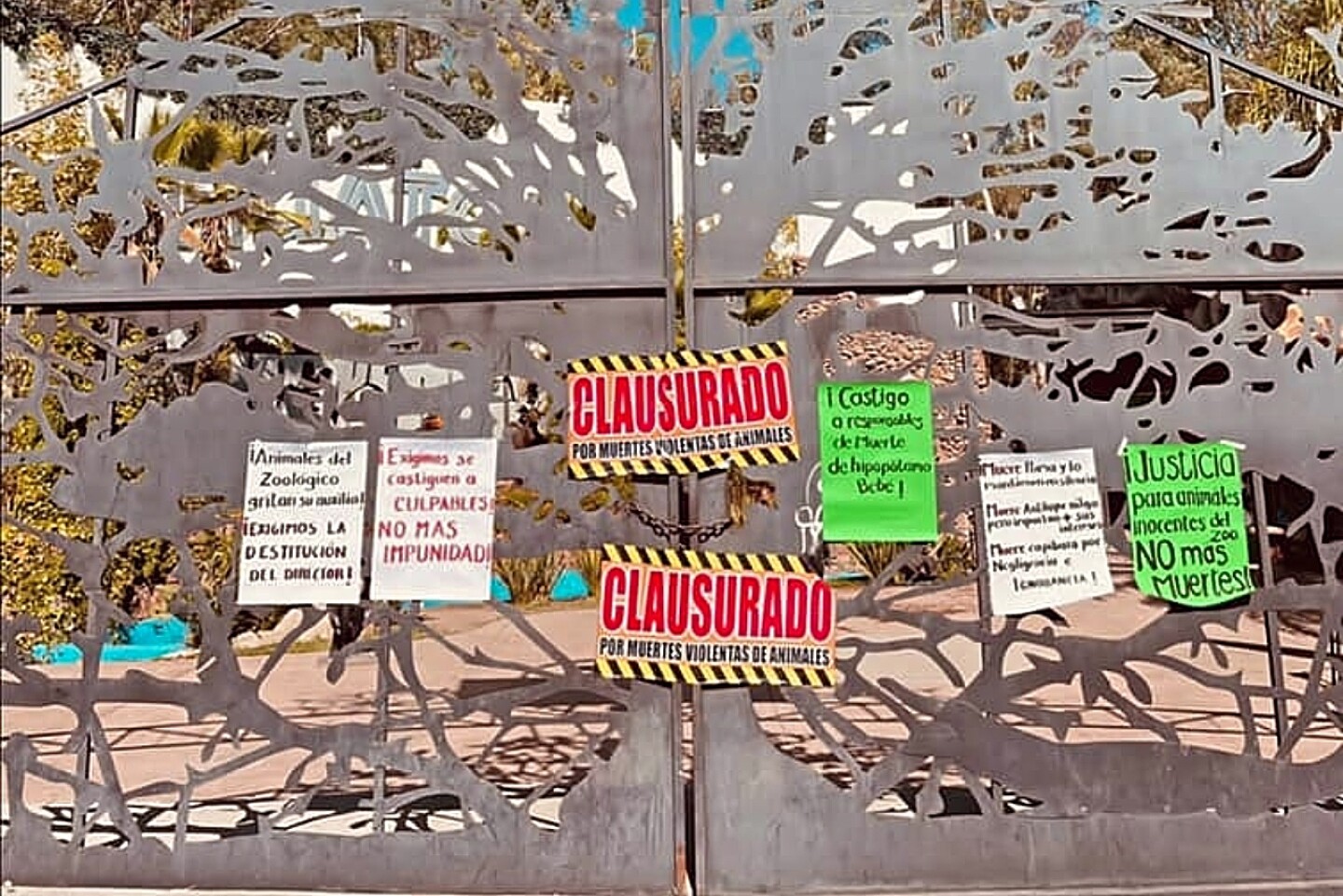 zoologico-sahuatoba-durango