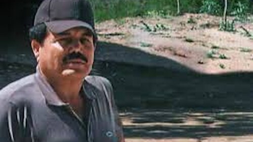 el-mayo-zambada-detenido-eu