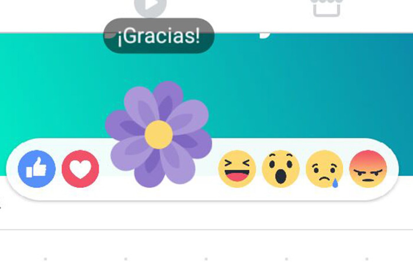 flor-morada