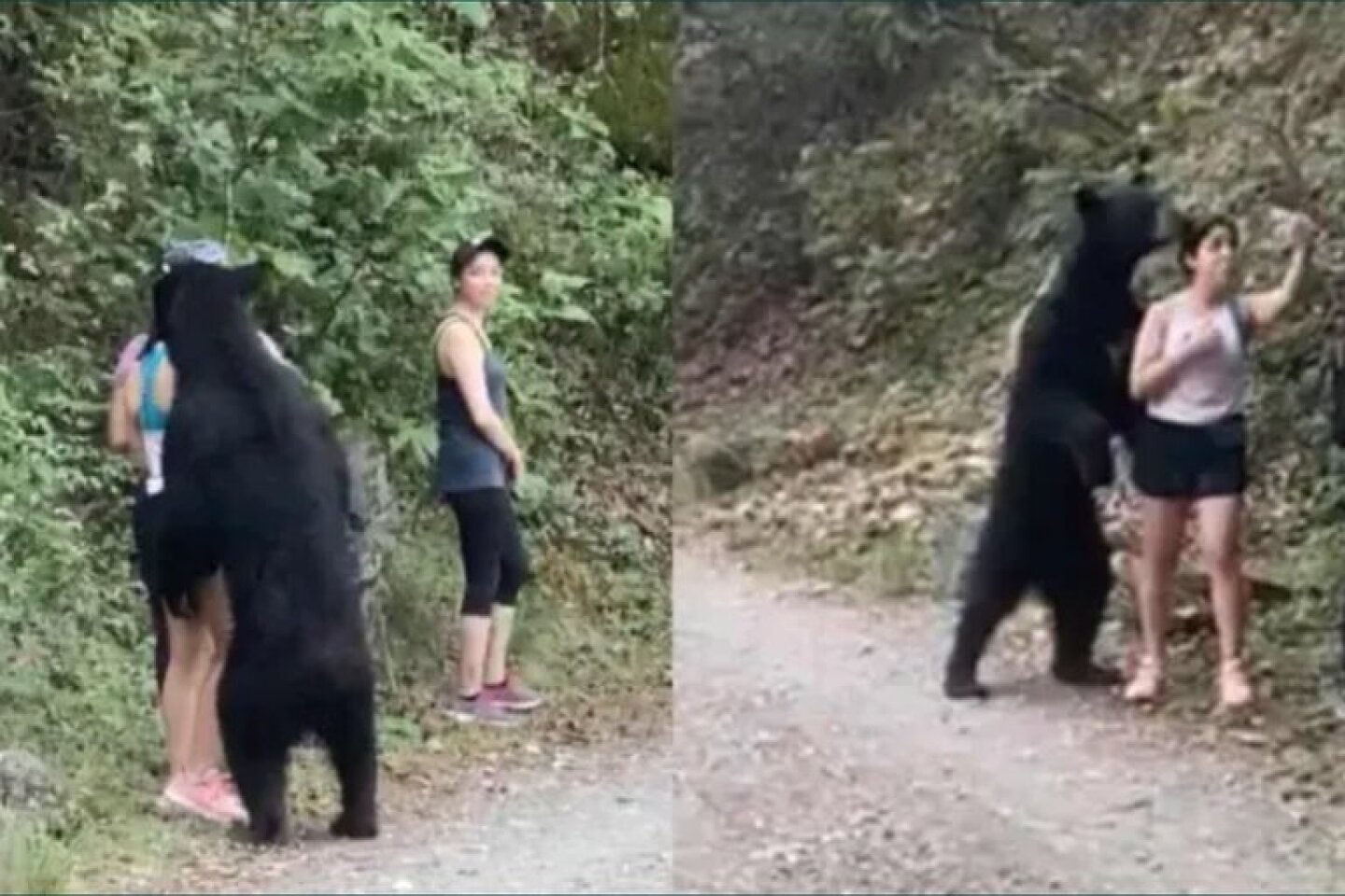 ejecentral_oso_selfie