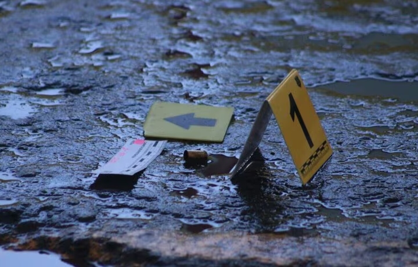 Seguridad
