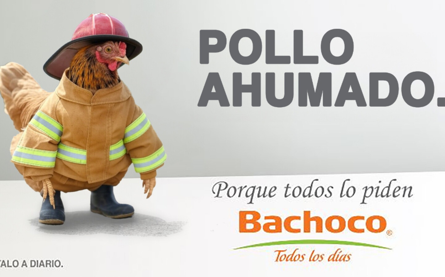 Bachoco anuncia salida de la BMV: ¿Por qué motivos?