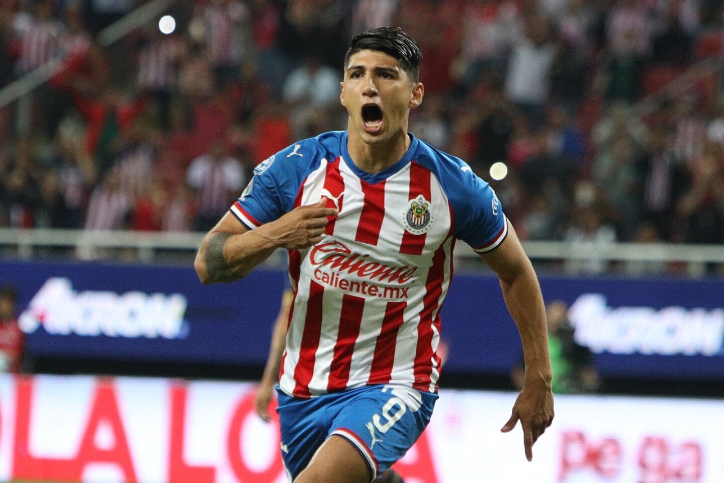 alan-pulido