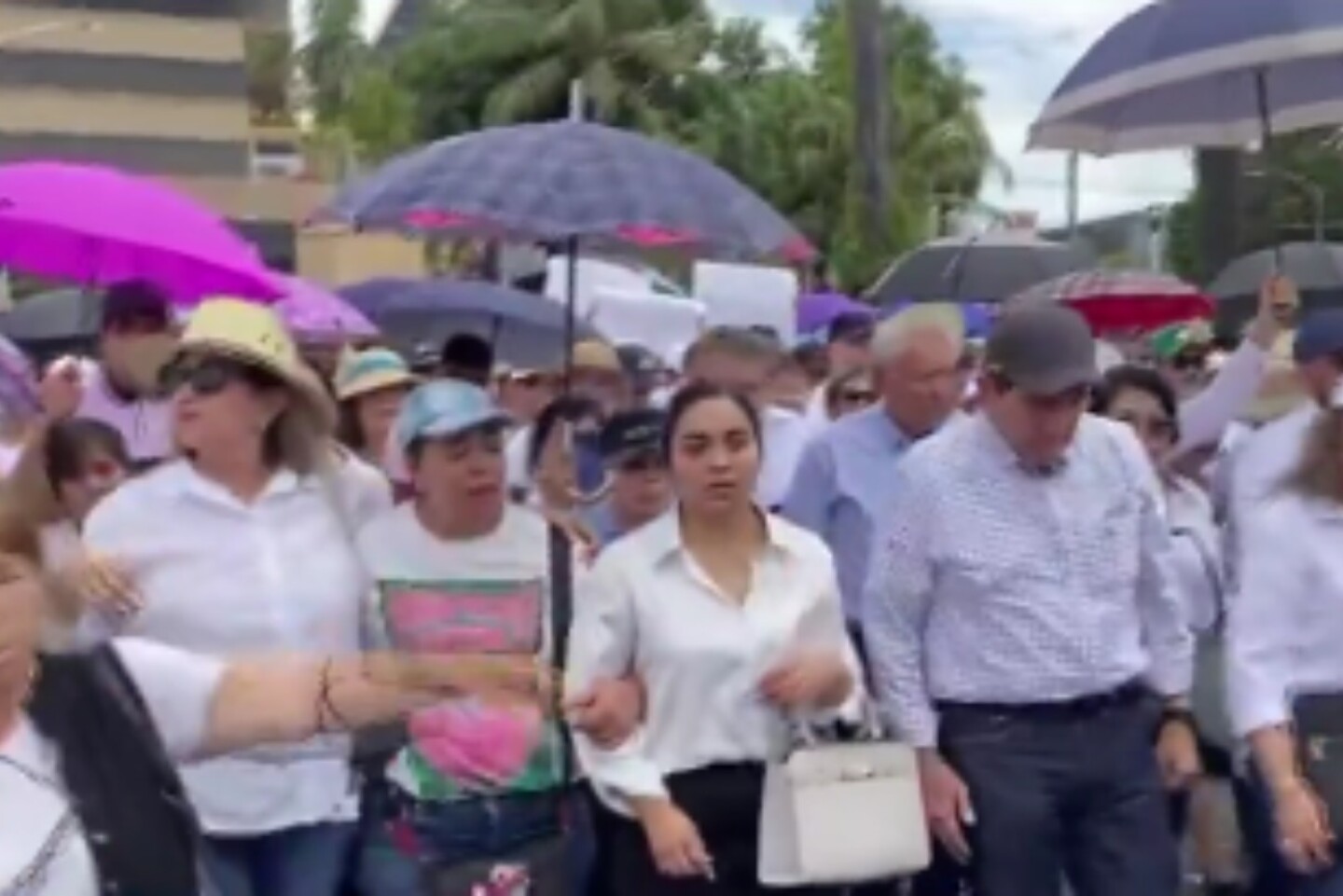 Luis Alonso marcha culiacán